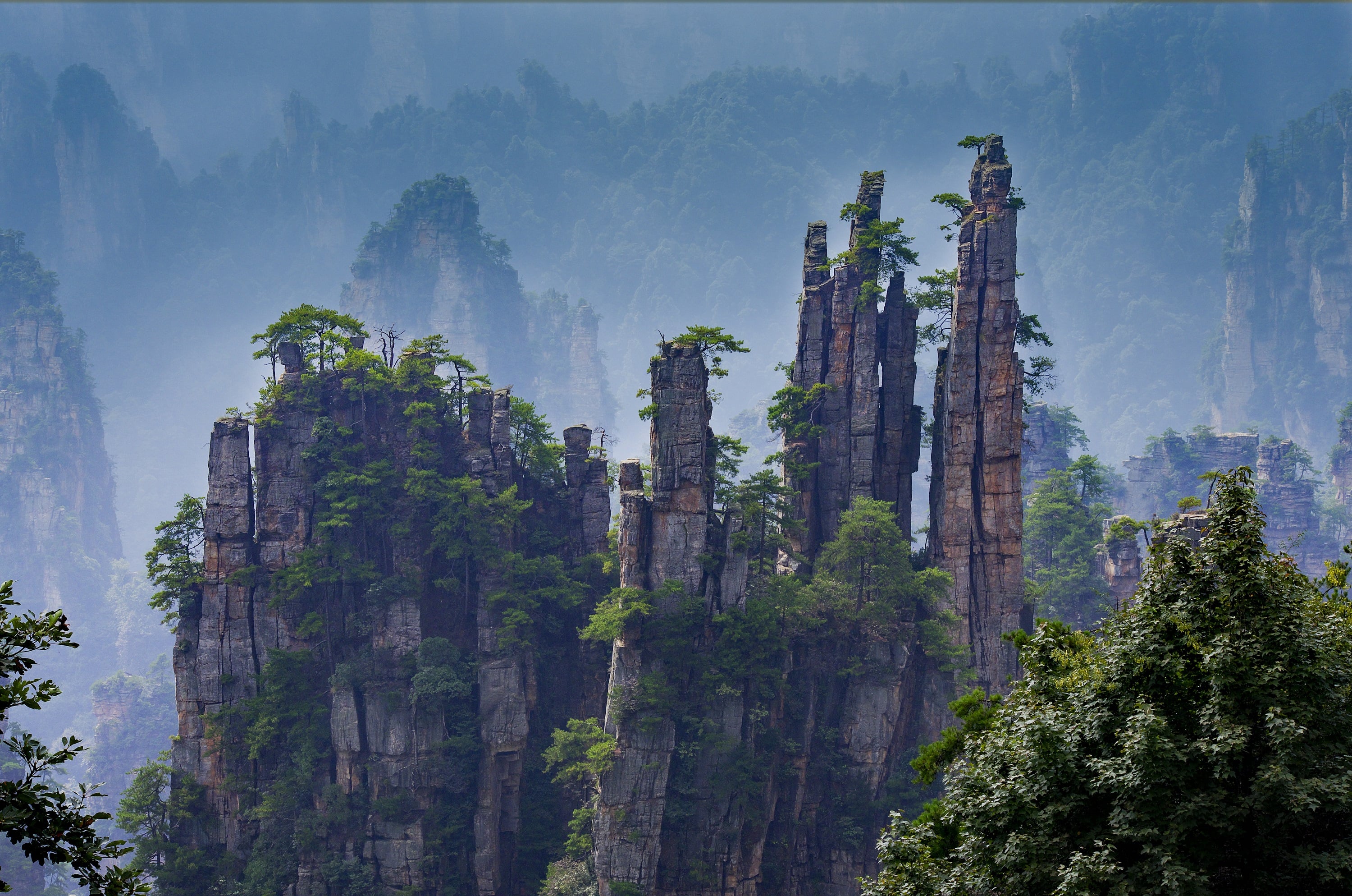 travel to zhangjiajie national forest park